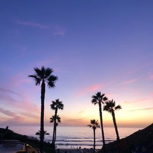 Meet your Posher, Idan